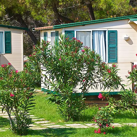 Arena Stupice Camping Homes-3